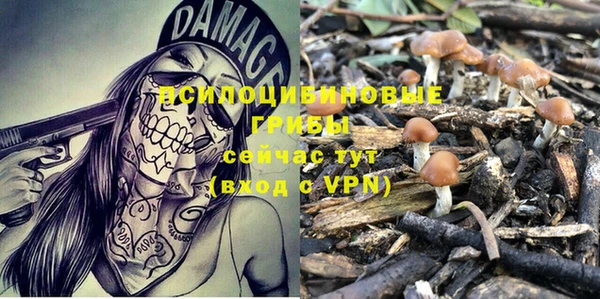 ALPHA PVP Беломорск